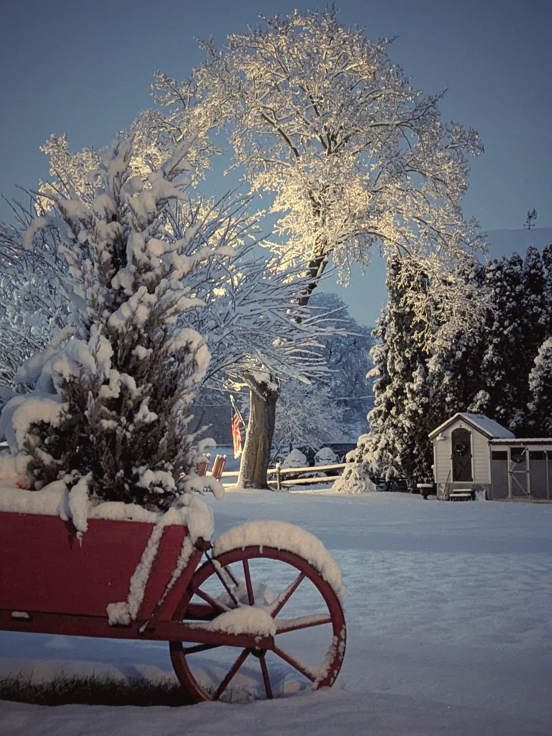 A red wagon filled with snow-covered greenery sits in a winter landscape under a soft blue sky.