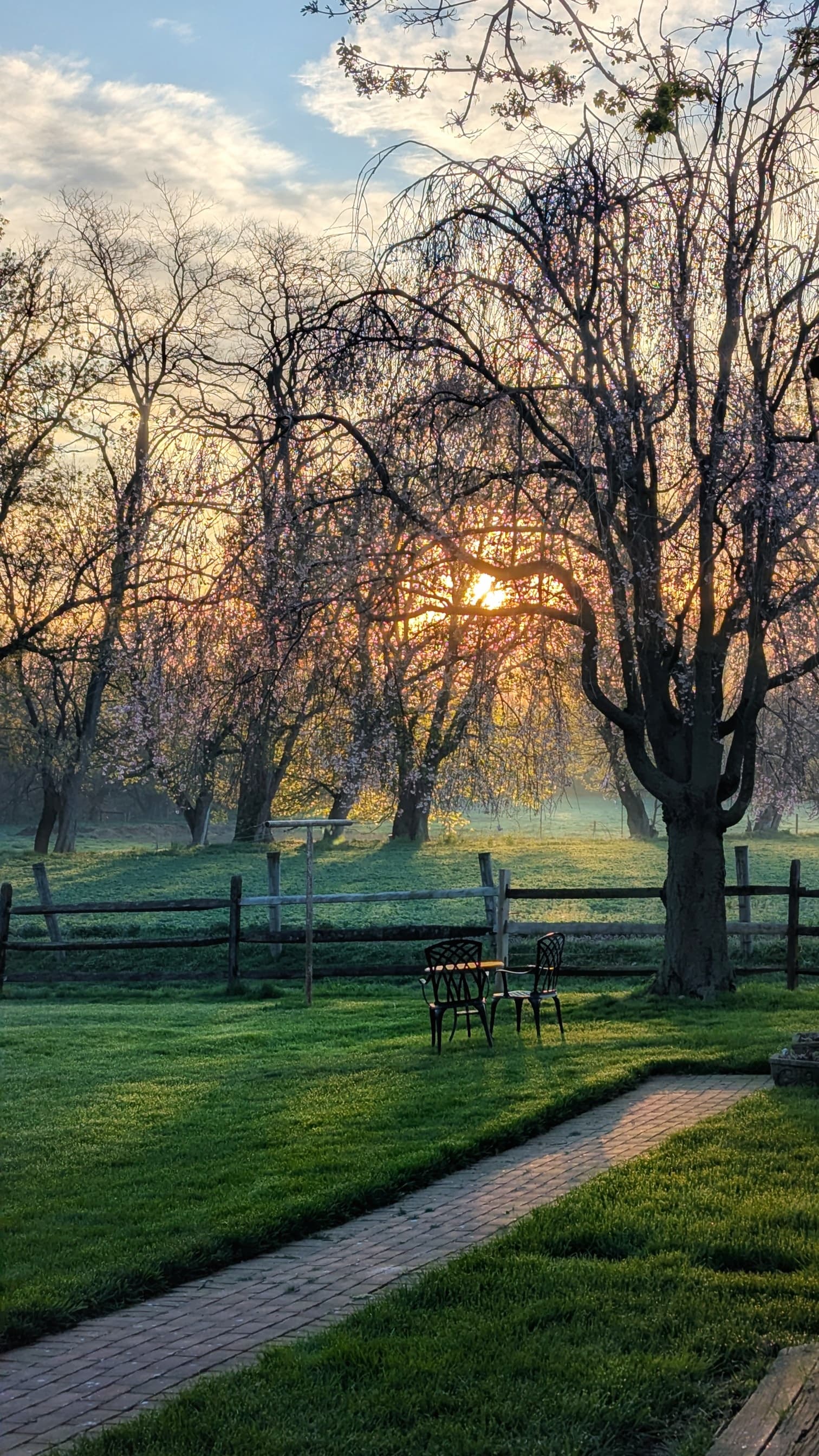 Serene sunrise over a misty landscape with trees and two chairs on green grass.