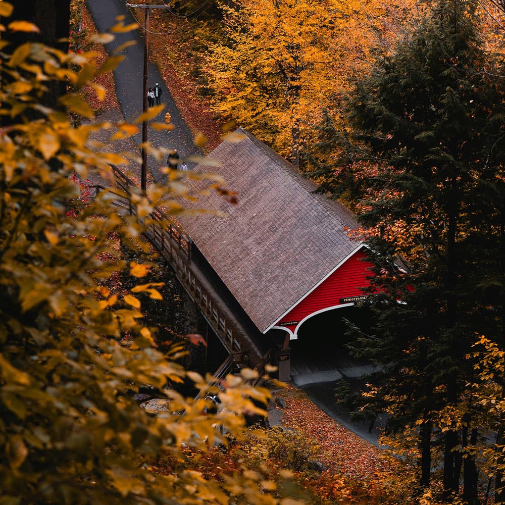 A red covered bridge surrounded by vibrant autumn foliage.